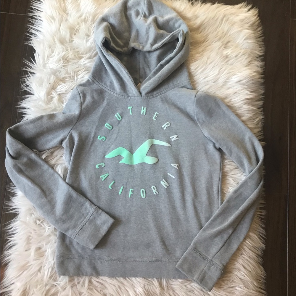 Hollister Hoodie Grey with Bird